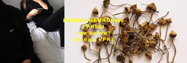 дурь Горно-Алтайск