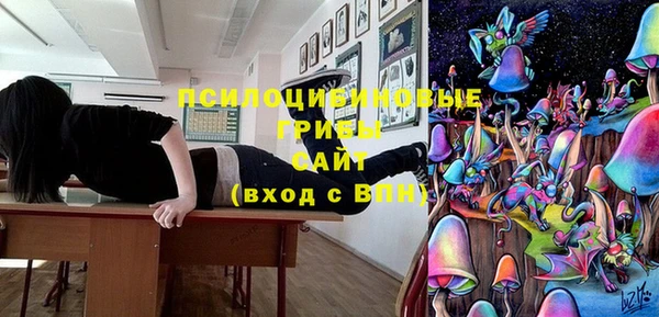 дурь Горно-Алтайск