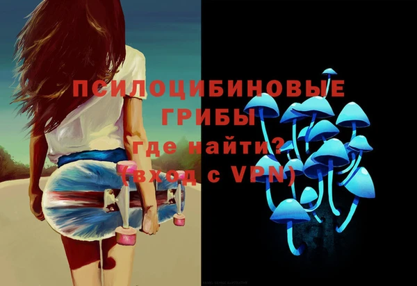 дурь Горно-Алтайск