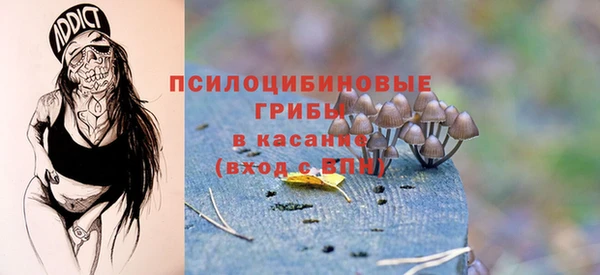 мет Горняк